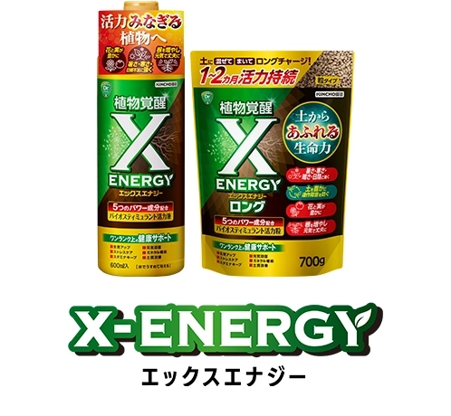 X-ENERGY