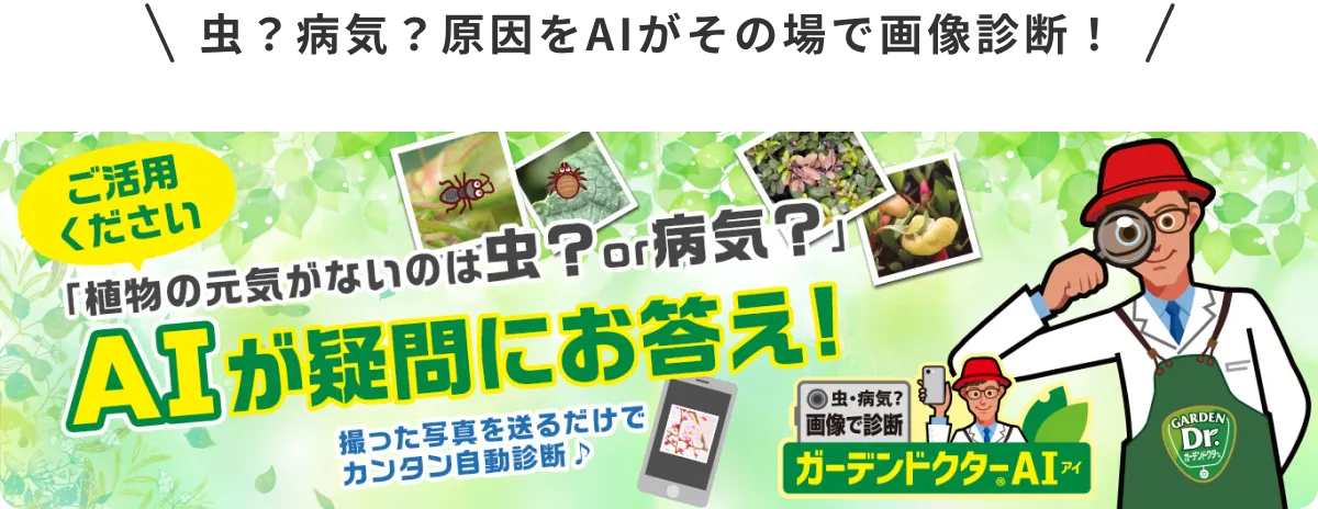 虫？病気？原因をAIがその場で画像診断！