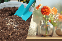 肥料・活力剤・その他薬剤