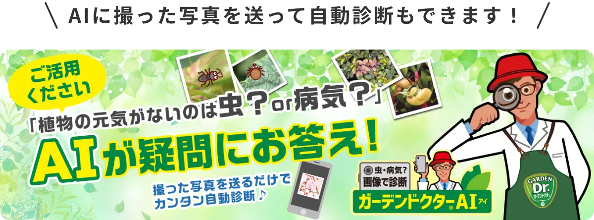 AIに撮った写真を送って自動診断もできます！ ガーデンドクターAI