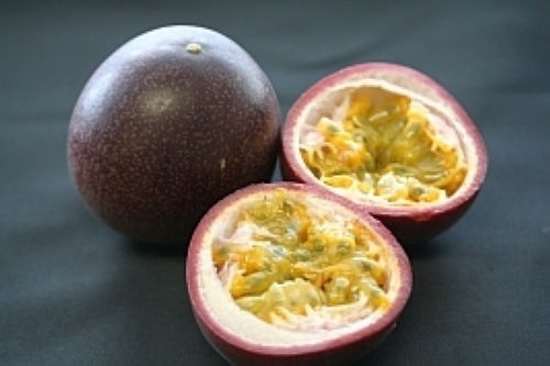 パッションフルーツ(地植え)