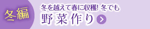 冬編：冬を越えて春に収穫！冬でも