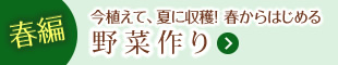 春編：今植えて、夏に収穫!春からはじめる野菜作り