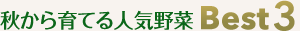 秋から育てる人気野菜Best3