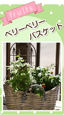 5月　ベリーベリーバスケット