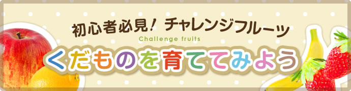 初心者必見! チャレンジフルーツ　くだものを育ててみよう