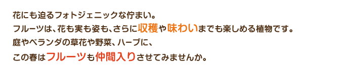 花にも迫るフォトジェニックな佇まい。フルーツは、花も実も姿も、さらに収穫や味わいまでも楽しめる植物です。庭やベランダの草花や野菜、ハーブに、この春はフルーツも仲間入りさせてみませんか。
