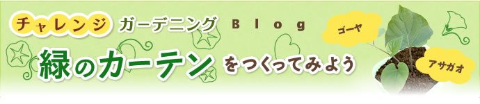 チャレンジガーデニング