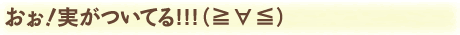 おぉ！実がついてる!!!（≧∀≦）