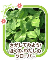 さがしてみよう！ ぼくの、わたしのクローバー