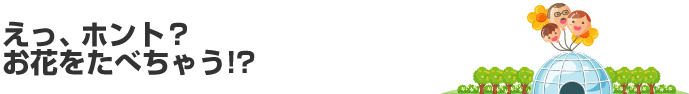 えっ、ホント？お花をたべちゃう！？