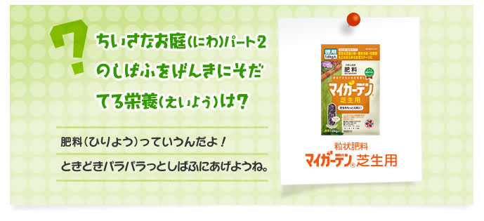 ちいさなお庭（にわ）パート2のしばふをげんきにそだてる栄養（えいよう）は？　
肥料っていうんだよ！　ときどきパラパラっとしばふにあげようね。