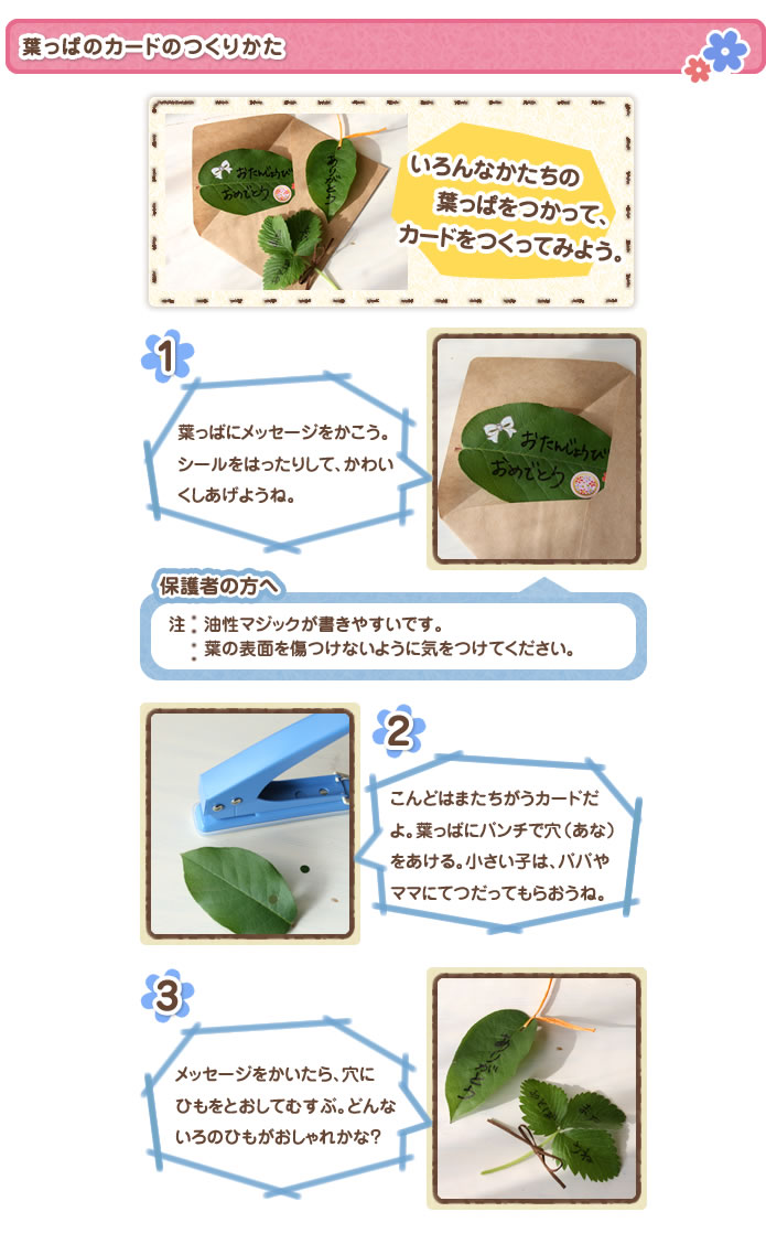 葉っぱのカードのつくりかた
いろんなかたちの葉っぱをつかって、カードをつくってみよう。
1葉っぱにメッセージをかこう。シールをはったりして、かわいくしあげようね。
2こんどはまたちがうカードだよ。葉っぱにパンチで穴(あな)をあける。小さい子は、パパやママにてつだってもらおうね。
3メッセージをかいたら、穴にひもをとおしてむすぶ。どんないろのひもがおしゃれかな?