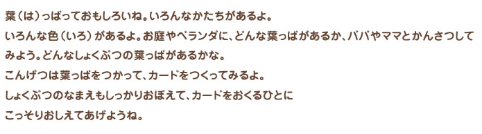 葉(は)っぱっておもしろいね。いろんなかたちがあるよ。いろんな色(いろ)があるよ。お庭やベランダに、どんな葉っぱがあるか、パパやママとかんさつしてみよう。どんなしょくぶつの葉っぱがあるかな。こんげつは葉っぱをつかって、カードをつくってみるよ。しょくぶつのなまえもしっかりおぼえて、カードをおくるひとにこっそりおしえてあげようね。
