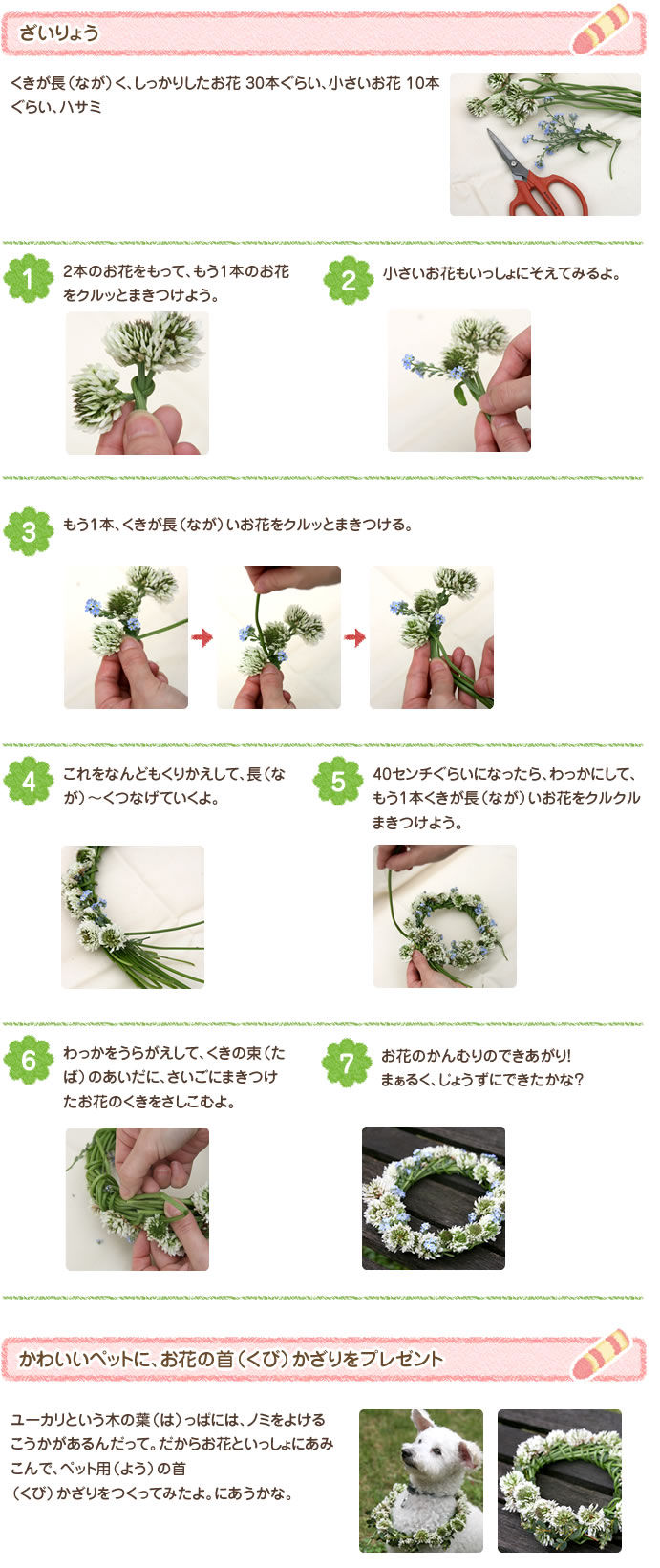 ざいりょう くきが長（なが）く、しっかりしたお花 30本ぐらい、小さいお花 10本ぐらい、ハサミ
1.2本のお花をもって、もう1本のお花をクルッとまきつけよう。
2.小さいお花もいっしょにそえてみるよ。
3.もう1本、くきが長（なが）いお花をクルッとまきつける。
4.これをなんどもくりかえして、長（なが）?くつなげていくよ。
5.40センチぐらいになったら、わっかにして、もう1本くきが長（なが）いお花をクルクルまきつけよう。
6.わっかをうらがえして、くきの束（たば）のあいだに、さいごにまきつけたお花のくきをさしこむよ。
7.お花のかんむりのできあがり！まぁるく、じょうずにできたかな？
かわいいペットに、お花の首（くび）かざりをプレゼント ユーカリという木の葉（は）っぱには、ノミをよけるこうかがあるんだって。だからお花といっしょにあみこんで、ペット用（よう）の首（くび）かざりをつくってみたよ。にあうかな。