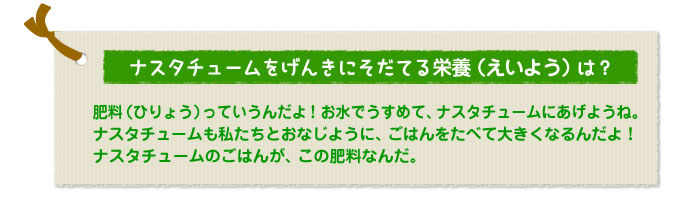 ナスタチュームをげんきにそだてる栄養（えいよう）は？
肥料（ひりょう）っていうんだよ！お水でうすめて、ナスタチュームにあげようね。ナスタチュームも私たちとおなじように、ごはんをたべて大きくなるんだよ！　ナスタチュームのごはんが、この肥料なんだ。