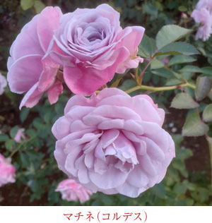 クロード・モネ