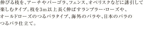 枝を長く伸ばし、アーチやパーゴラ、フェンスに沿わせて楽しむタイプ。枝を3m以上長く伸ばすランブラー・ローズなど(主に一季咲き)、