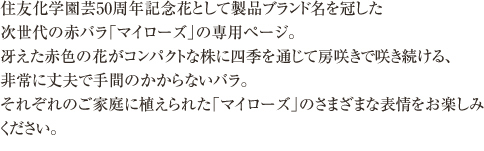 家族がずっと育ててきたバラ、初めて自分で咲かせたバラなど、正確な品種名はわからないけれど、それぞれにストーリーがあり、大切に愛されている「我が家のバラ」たち。投稿いただいた中から一部をご紹介します。
（分類ごとではなく、オールジャンルで順番に掲載しています。品種名には整理番号を入れています。）