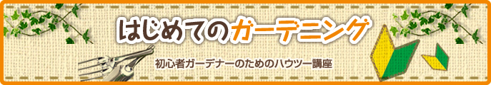 はじめてのガーデニング