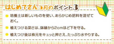 はじめてさん5月のポイント3　・培養土は新しいものを使い、あらかじめ肥料を混ぜておく。・植えつける深さは、鉢縁から2cmほど下を守る。・植えつけ後は株元をキュッと押さえ、たっぷり水やりする。