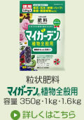 粒状肥料 マイガーデン植物全般用(容量 350g・1kg・1.6kg)→詳しくはこちら
