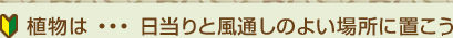 植物は...日当たりと風通しのよい場所に置こう