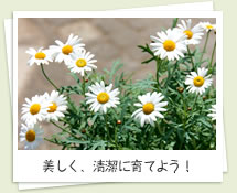 美しく、清潔に育てよう！