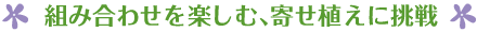 組み合わせを楽しむ、寄せ植えに挑戦
