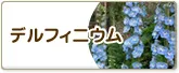デルフィニウム