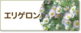 エリゲロン