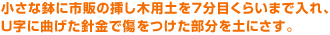 小さな鉢に市販の挿し木用土を７分目くらいまで入れ、U字に曲げた針金で傷をつけた部分を土にさす。