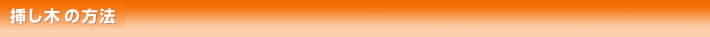 挿し木の方法