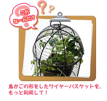 これな~んだ?鳥かごの形をしたワイヤーバスケットを、もっと利用して!
