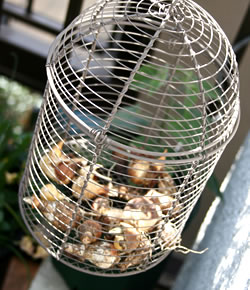 ワイヤーバスケット