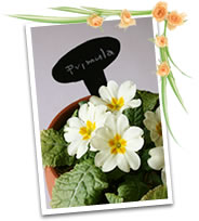 ガーデニングラベル