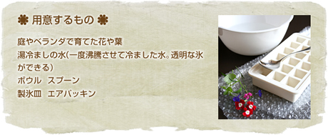 用意するもの
庭やベランダで育てた花や葉
湯冷ましの水（一度沸騰させて冷ました水。透明な氷ができる）
ボウル スプーン
製氷皿 エアパッキン