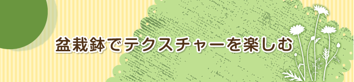 5月　盆栽鉢でテクスチャーを楽しむ