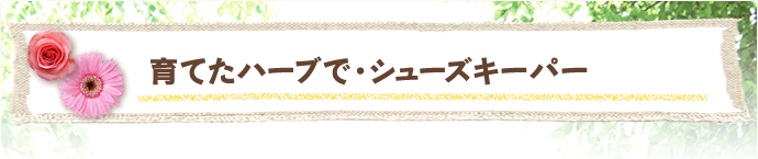 育てたハーブで・シューズキーパー