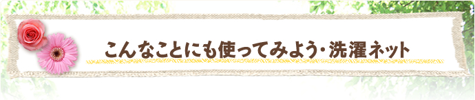 こんなことにも使ってみよう・洗濯ネット