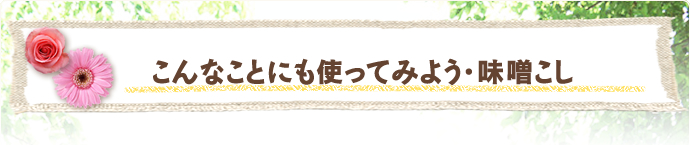 こんなことにも使ってみよう・味噌こし