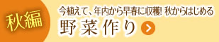 秋編:今植えて、年内から早春に収穫！秋からはじめる野菜作り