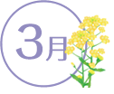 3月
