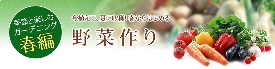 季節と楽しむガーデニング春編：今植えて、夏に収穫！ 春からはじめる野菜作り