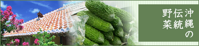 5月　沖縄の伝統野菜