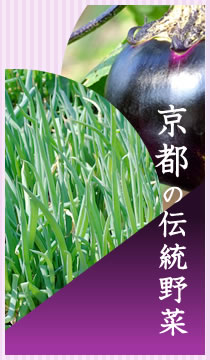 4月　京都の伝統野菜