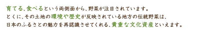 育てる、食べるという両側面から、野菜が注目されています。とくに、その土地の環境や歴史が反映されている地方の伝統野菜は、日本のふるさとの魅力を再認識させてくれる、貴重な文化資産といえます。