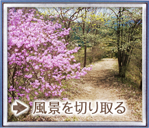 風景を切り取る