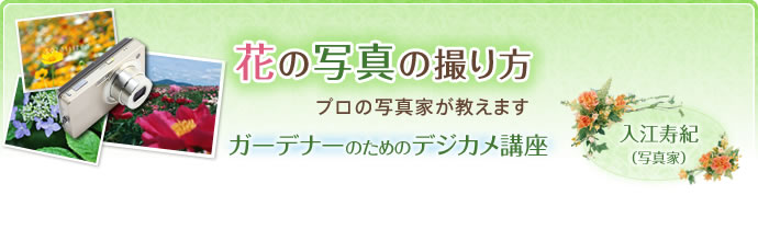 花の写真の撮り方 ガーデナーのためのデジカメ講座 シーズン3 自然編入江寿紀（写真家）