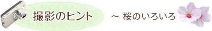 撮影のヒント